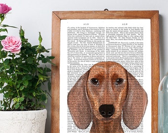 Ilustración de perro salchicha, lámina artística de página de libro vintage