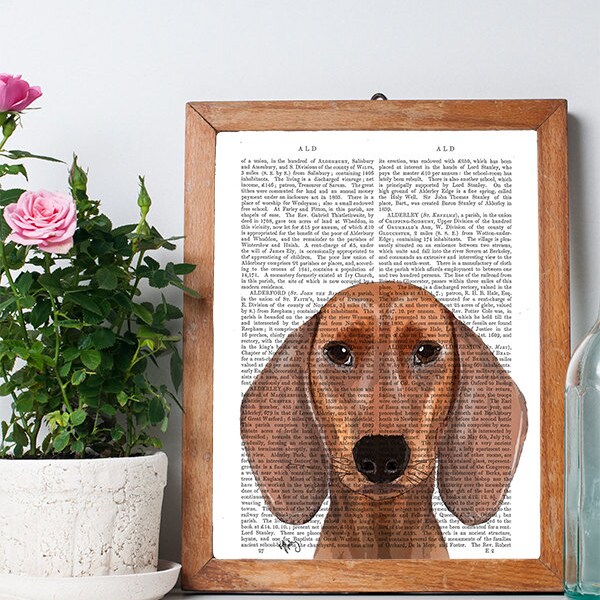 Dachshund Illustration, dog poster, dog decor, dog illustration, dog picture, dog gift, dog lover, dog Print, dog art, wall art, doxie print