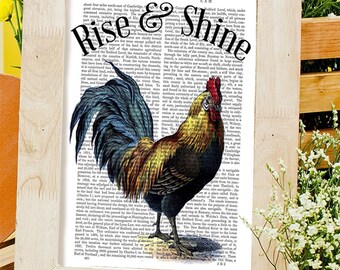 Lámina artística de gallo - Decoración de cocina FabFunky