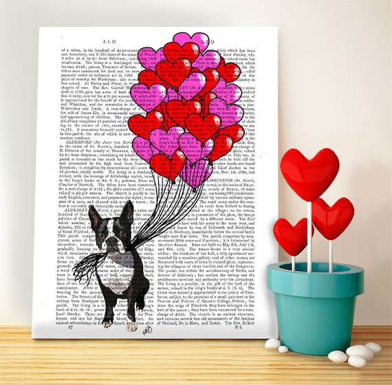 Cute Boston Terrier /& Balloons Valentines dog poster Valentines gift for dog lover romantic gift for wife gift for husband anniversary gift