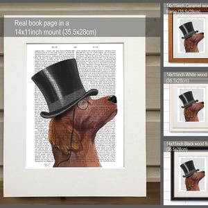 K&ouml;nnte beinhalten: Ein brauner und wei&szlig;er Irischer Setter tr&auml;gt einen schwarzen Zylinder und eine runde Brille. Der Hund schaut nach rechts. Das Bild ist auf einer Buchseite mit Text gedruckt. Das Bild ist in einem schwarzen Holzrahmen gerahmt.
