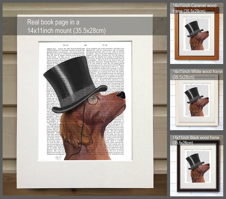 K&ouml;nnte beinhalten: Ein brauner und wei&szlig;er Irischer Setter tr&auml;gt einen schwarzen Zylinder und eine runde Brille. Der Hund schaut nach rechts. Das Bild ist auf einer Buchseite mit Text gedruckt. Das Bild ist in einem schwarzen Holzrahmen gerahmt.