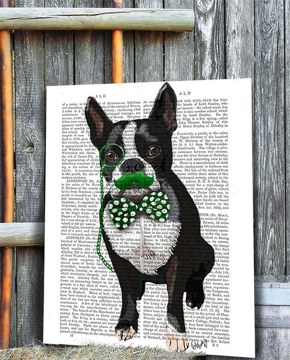 Boston Terrier Kunst Grüner Schnurrbart Boston Terrier Druck Hund Poster  Hund Illustration Hund Geschenk Hund Druck Terrier Kunst Hund Liebhaber  Terrier Geschenk