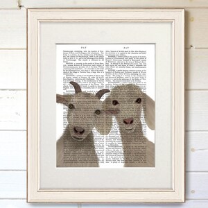 May include: Two brown and white goats peeking out from behind a vintage book page. The goats are looking directly at the viewer with their tongues sticking out. The text on the page is about the history of the town of Patney, England.