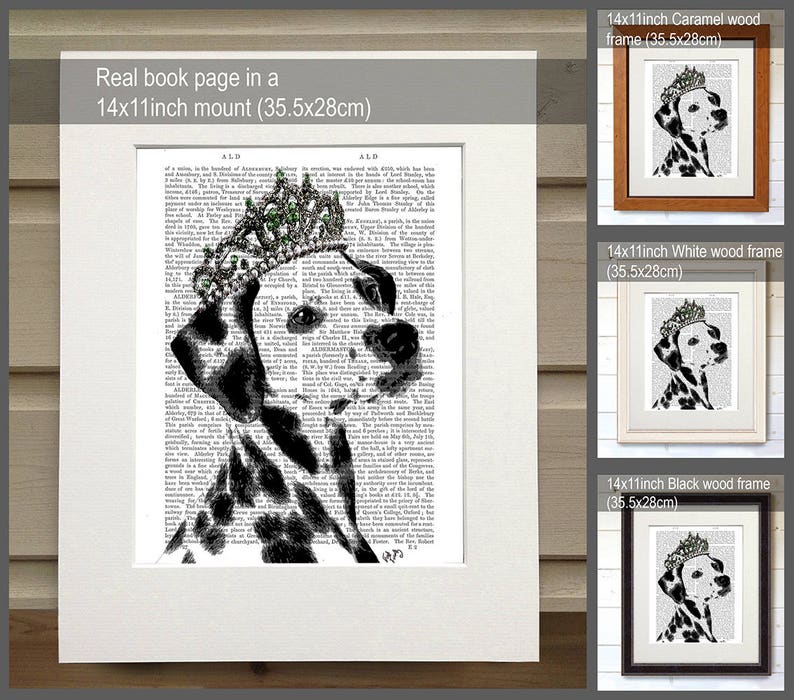 May include: A black and white dalmatian dog wearing a green jeweled crown, printed on a book page. The image is framed in a white, black, and brown wood frame. The frame is 14 inches by 11 inches and measures 35.5 centimeters by 28 centimeters.