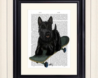 Scottish Terrier Scottie Dog on Skateboard Art skateboard print skateboard decor cute teen room decor dorm decor hipster room décor funny