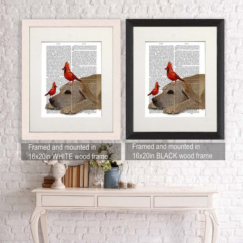 May include: A framed print of a yellow Labrador Retriever with three red cardinals perched on its head. The print is mounted on a white background and framed in a white wood frame. The text "Framed and mounted in 16x20in WHITE wood frame" is below the image.