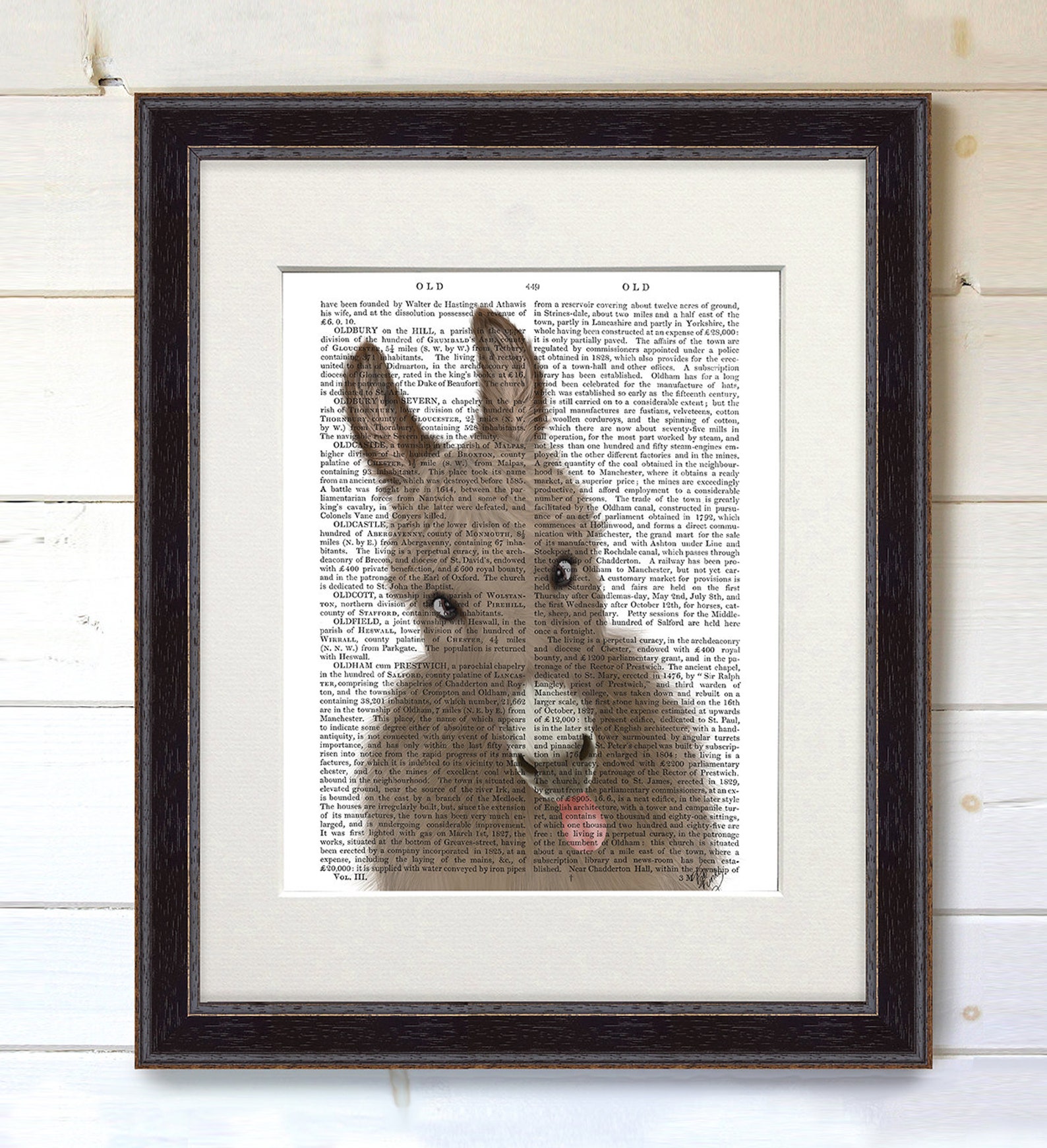 Donkey Canvas Funny Farm Donkey 2 Donkey Wall Art Donkey Etsy