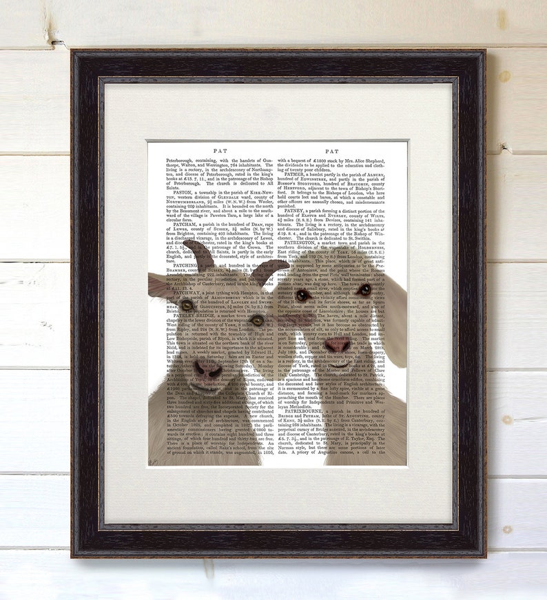 May include: A vintage book illustration of two goats peeking out from the pages of a book. The goats are brown and white with black eyes and noses. The book is open to a page with text about the town of Patney, England.