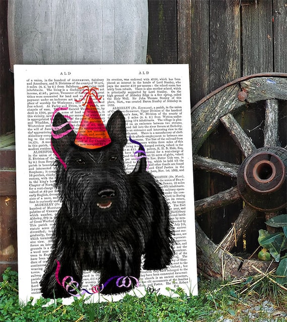 Scottish Terrier Scottie Dog Party Hat Scottie Gift for Dog Lover Cute Gift for Boyfriend Cute Home Decor Cute Dog Gift Mothers Day Gift Etsy Canada