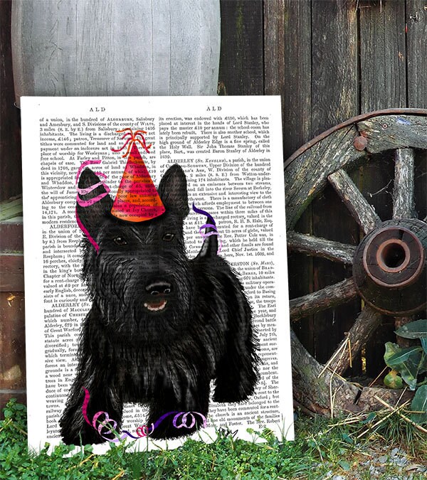 scottie hat