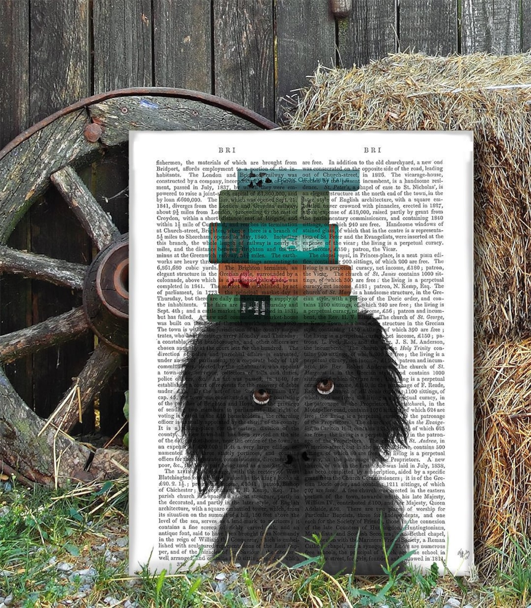 Student Gift Labradoodle Black With Books Doodle Dog Lover photo