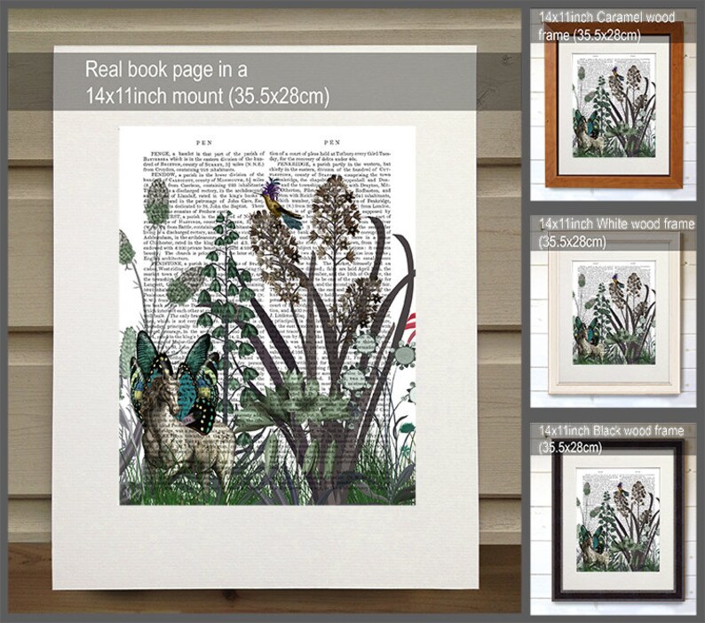 Puede incluir: Una p&aacute;gina de libro vintage con una ilustraci&oacute;n bot&aacute;nica de un p&aacute;jaro, mariposas y plantas. La p&aacute;gina est&aacute; montada en un passe-partout de 14x11 pulgadas, y la imagen est&aacute; disponible en marcos de madera caramelo, blanco y negro.