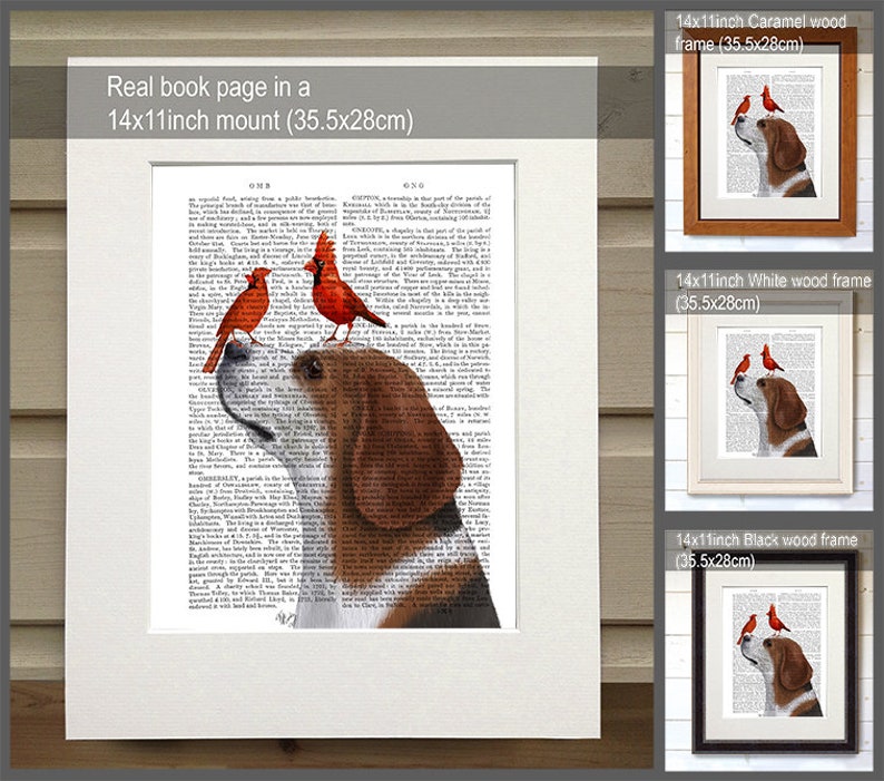 Puede incluir: Impresi&oacute;n enmarcada de un beagle con dos cardenales rojos, sobre un fondo de p&aacute;gina de libro antiguo. La obra de arte est&aacute; disponible en un montaje de 35,5x28 cm, con opciones de marco de madera en color caramelo, blanco y negro. El texto dice: 'Real book page in a 14x11inch mount (35.5x28cm)'
