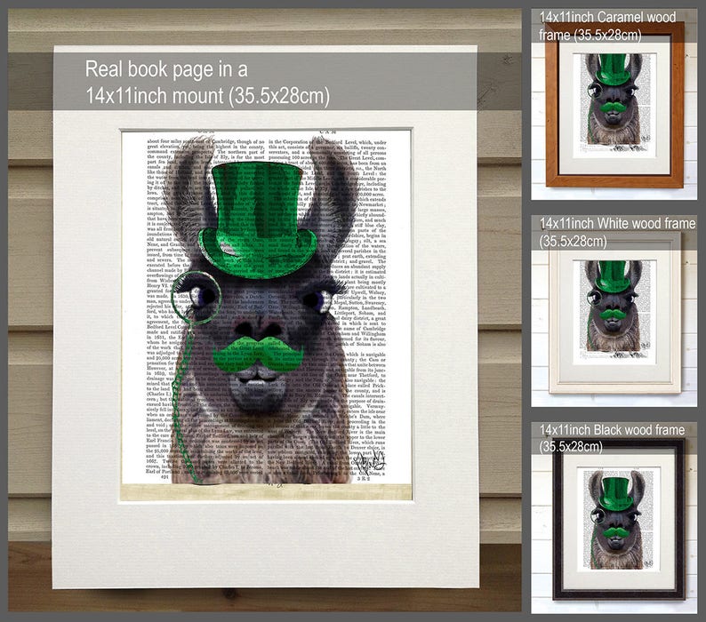 Pu&ograve; includere: Un lama che indossa un cappello a cilindro verde e un baffo verde con un monoccolo. Il lama &egrave; stampato su una pagina di libro con del testo. L'immagine &egrave; mostrata in tre cornici diverse: legno caramello, legno bianco e legno nero. Ogni cornice misura 14x11 pollici (35,5x28 cm).