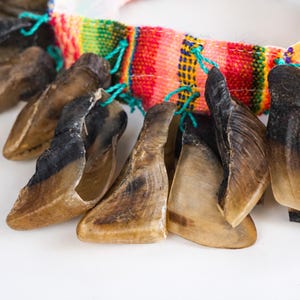 Puede incluir: Primer plano de un collar con colgantes en forma de cuerno marr&oacute;n y negro, ensartados en una colorida tela tejida. Los colgantes est&aacute;n sujetos con hilo turquesa, creando un accesorio &uacute;nico y llamativo.