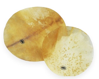 Repuesto de piel de cabra cruda GMP Elite para djembes. Cuero profesional de alta calidad para tambores djembé. Rasurado/sin pelo. 22"/56 cm