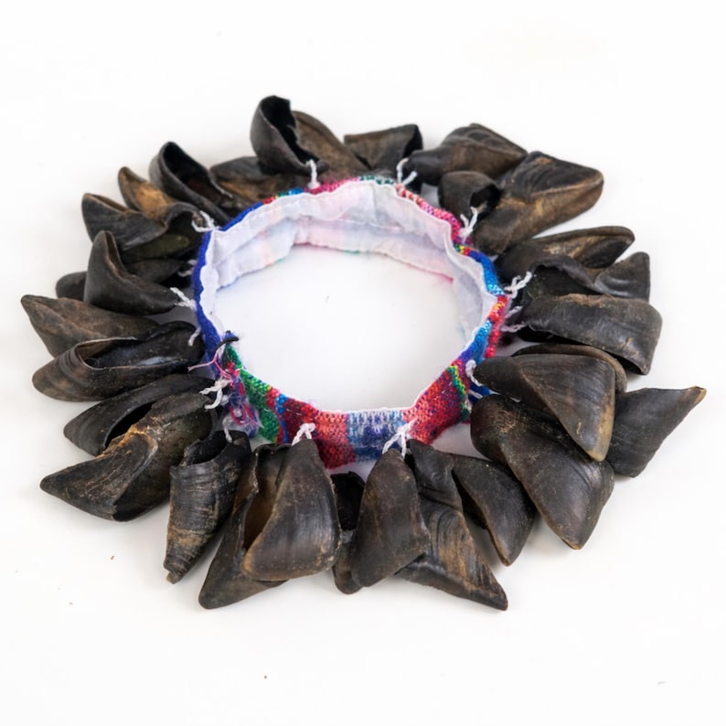 Puede incluir: Un instrumento de percusi&oacute;n circular con conchas de pezu&ntilde;as de color marr&oacute;n oscuro unidas a una colorida banda de tela tejida. La banda presenta patrones rojos, azules y verdes. El instrumento est&aacute; sobre un fondo blanco.