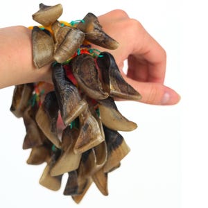 Puede incluir: Un brazalete hecho de m&uacute;ltiples piezas de pezu&ntilde;a marr&oacute;n, unidas con hilo verde y sujetas a una colorida banda tejida. Las piezas de pezu&ntilde;a var&iacute;an en tama&ntilde;o y forma, con una apariencia natural y org&aacute;nica.