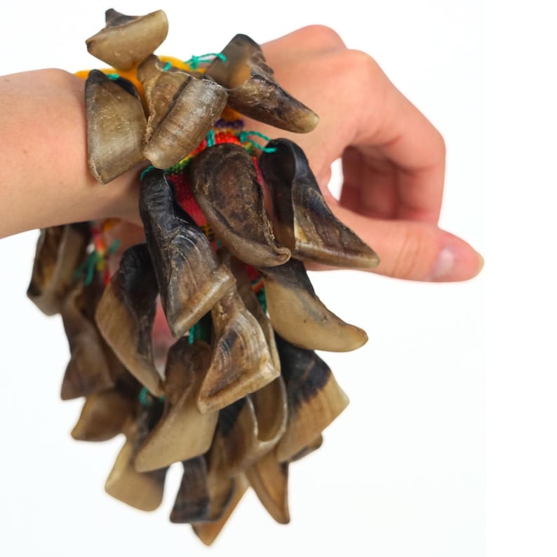 Puede incluir: Un brazalete hecho de m&uacute;ltiples piezas de pezu&ntilde;a marr&oacute;n, unidas con hilo verde y sujetas a una colorida banda tejida. Las piezas de pezu&ntilde;a var&iacute;an en tama&ntilde;o y forma, con una apariencia natural y org&aacute;nica.