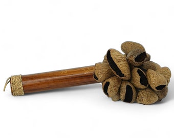 Sonajero tradicional auténtico con cáscara de semilla de pangi GMP, con efecto de sonido de percusión de cáscara de nuez Juju/Chacha y mango de bambú.