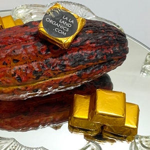 May include: A cocoa pod with a gold foil wrapped chocolate bar on top. The chocolate bar has the text "La La Land Organics .com" printed on it. There are several more gold foil wrapped chocolate bars in the background.