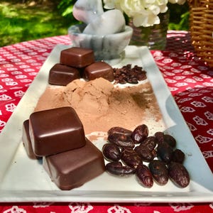 May include: A white rectangular plate with dark chocolate squares, cocoa powder, and cocoa nibs. The plate is on a red and white patterned tablecloth.