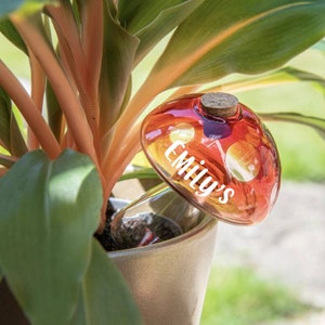 Custom Made Plant Personalised Watering Glass Mushroom -Hand crafted -gift for a gardener- plant gift - unusual plant water gift-