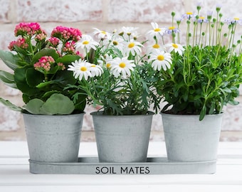 Metal Message Planters - 10th Anniversary Gift - Personalised Metal Planter - Tin Bucket Planters - Tenth Anniversary Gift - for Spouse