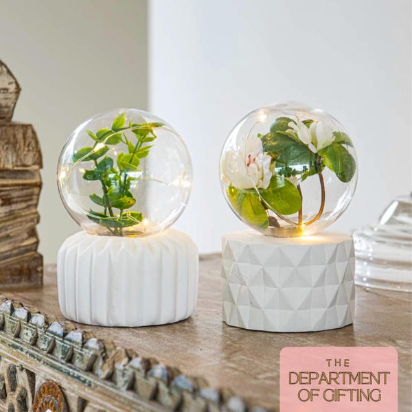 Handmade Plant Fairy Light Terrarium: Indoor Garden Decor