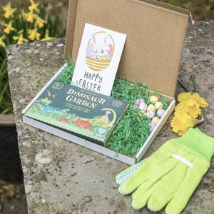 Regalo personalizado de dinosaurio para niños en el buzón (envíelo a través de su buzón), diversión en el jardín, cesta personalizada, guantes de jardinería, cultive su propio jardín.