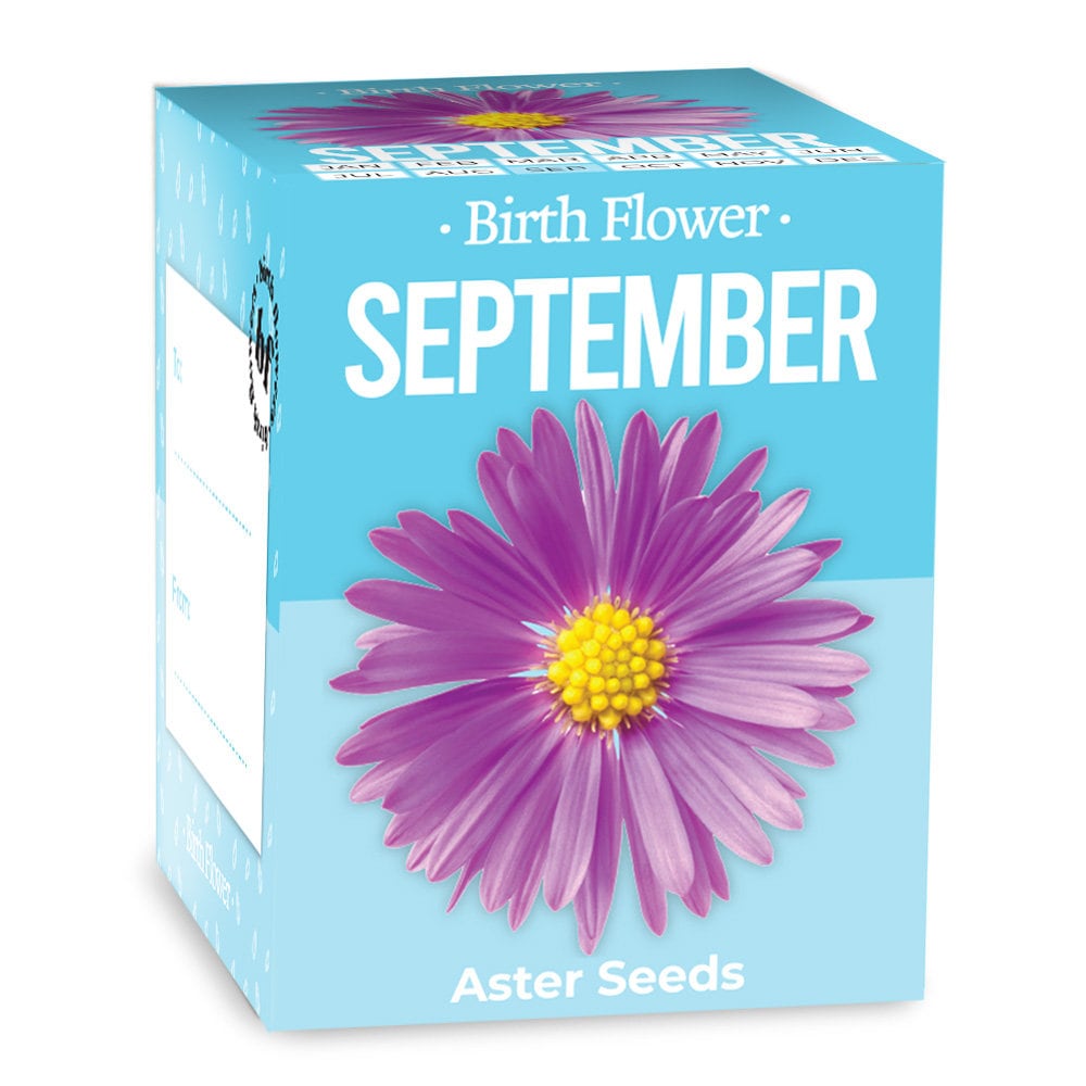 Grow Your Own Birth Flower mums gift gardening birth Etsy