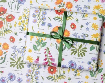 Papel de regalo con temática de jardín: diseño de plantas dibujado a mano, con certificación FSC