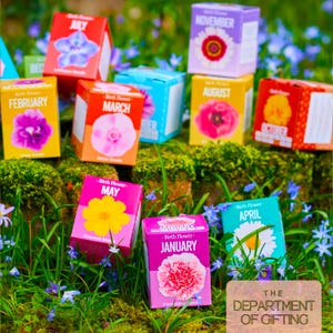 Personalisiertes Geburtsblumen-Anbauset: Gartengeschenk - Option mit individueller Tasche