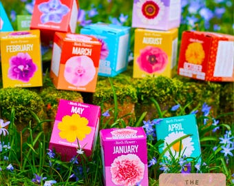 Personalisiertes Geburtsblumen-Anbauset: Gartengeschenk - Option mit individueller Tasche
