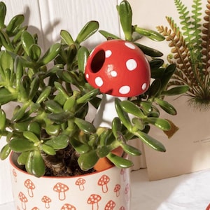 Hand Painted Plant Watering  Mushroom -gift for a gardener- plant gift for her- unusal plant water gift- gardening gift