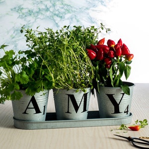 Jardineras estilo carta - Regalo para ella - Regalo de jardinería - Jardineras personalizadas - décimo aniversario - Hierbas - jardín interior - macetas personalizadas