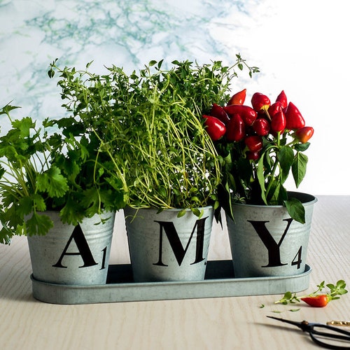 Scrabble Style Planters Gift for Her Gardening Gift Etsy