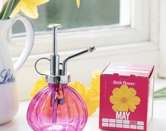 Birth Flower Grow Kit: Hand-Packed Seeds & Glass Mister - Birthday Gift