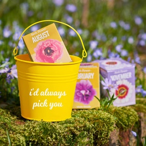 May include: A bright yellow bucket with a matching handle, holding a box labeled "Birth Flower - AUGUST" with a pink flower illustration. The bucket has the text "I'd always pick you". Other boxes with flower illustrations are in the background.