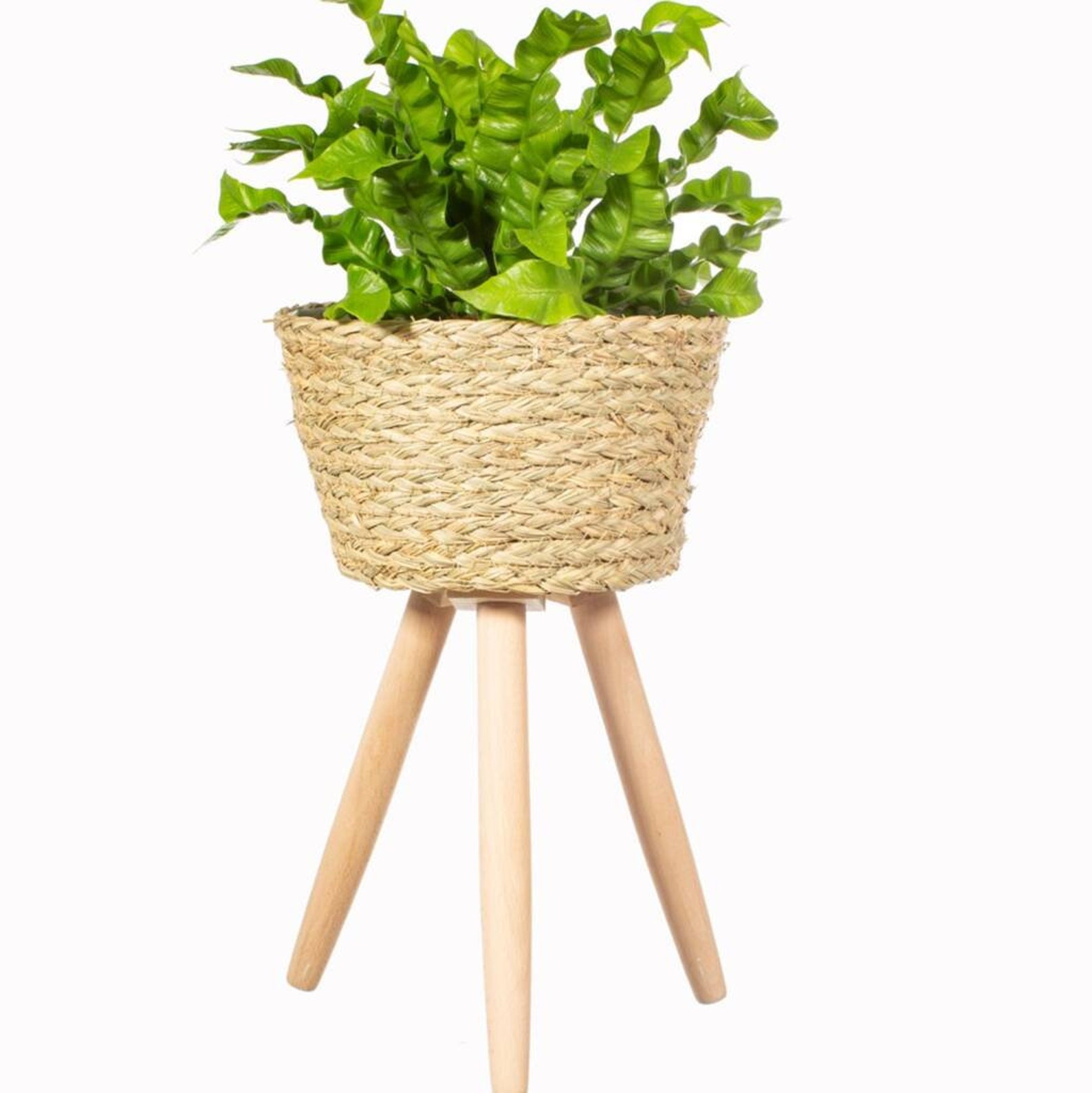 Natural Outdoor Basket Planter on Tripod Legs Large Indoor Etsy UK