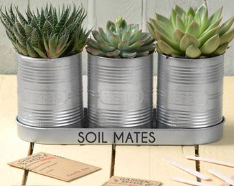 Tin Message Planters - 10th Anniversary Gift - Personalised Metal Planter - Tin Can Indoor Planters - Tenth Anniversary Gift - Couple Gift