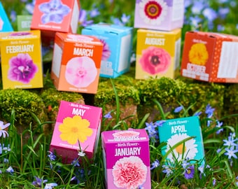 Personalised Grow Your Own Birth Flower Gift,Hand Packed-,Birthday gift ,gardening flower,bright colours, indoor garden,gift bag-Zodiac