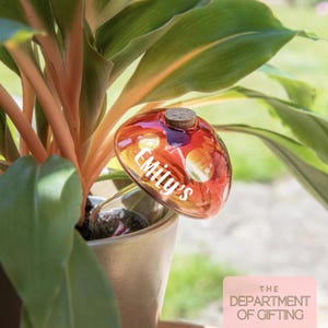 Personalized Mushroom Plant Waterer: Hand Blown Glass, Gardener Gift