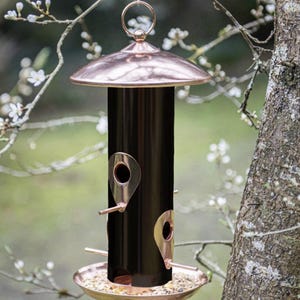 May include: A black bird feeder with copper detailing hangs from a tree branch. The feeder has a circular top and base, with a cylindrical body. It features multiple feeding ports and a ring for hanging. The background is blurred, showing a natural outdoor setting.