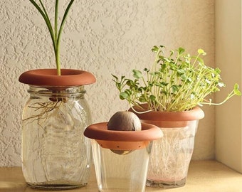 Set Of Three Terracotta Seed Sprouters ,grow your own seedlings-hand designed- unique gift-grow avocado-customised gift-terracotta hand made