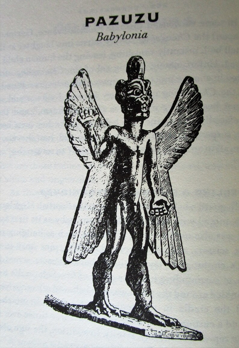 A Field Guide To Demons Fairies Fallen Angels And Other Subversive Spirits Vintage Book - 