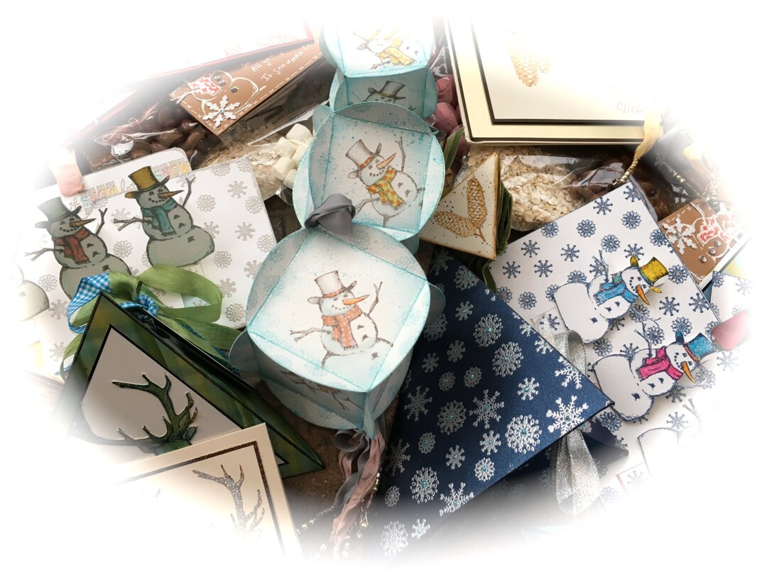 Frosty Friends Stamp Set and 10 Video Tutorials - Etsy