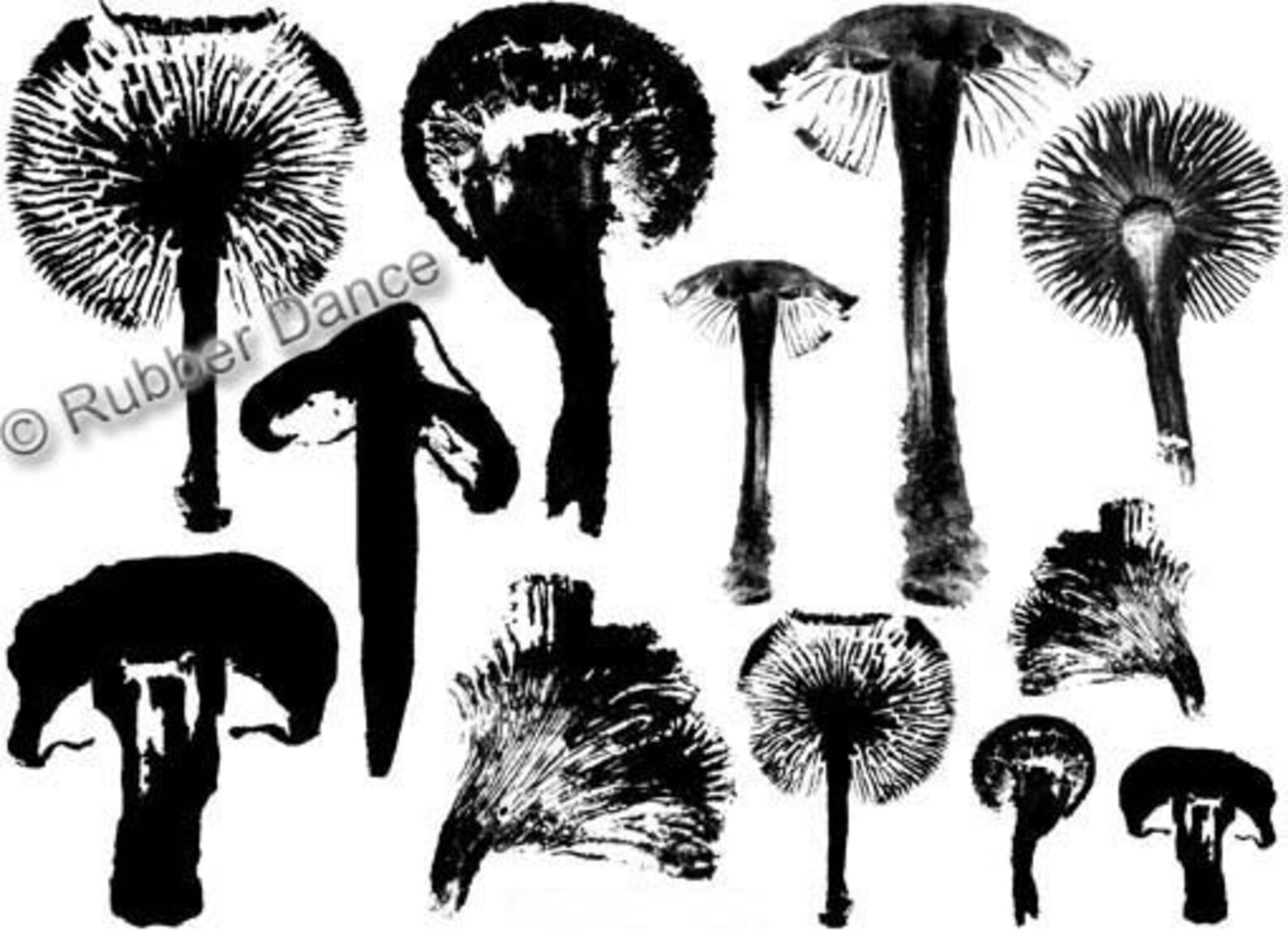 Mushroom Stamp Set and 10 Video Tutorials Etsy UK
