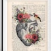 see more listings in the Anatomy/Science section